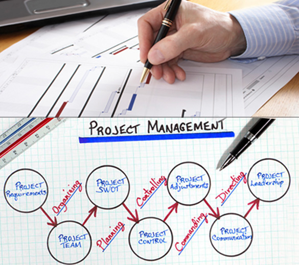 project_management